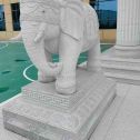 郑州 白麻花岗岩动物异形石雕-大象