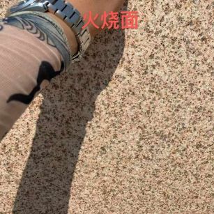 郑州黄金麻火烧面