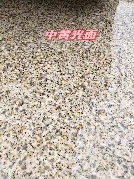 郑州黄金麻中黄光面